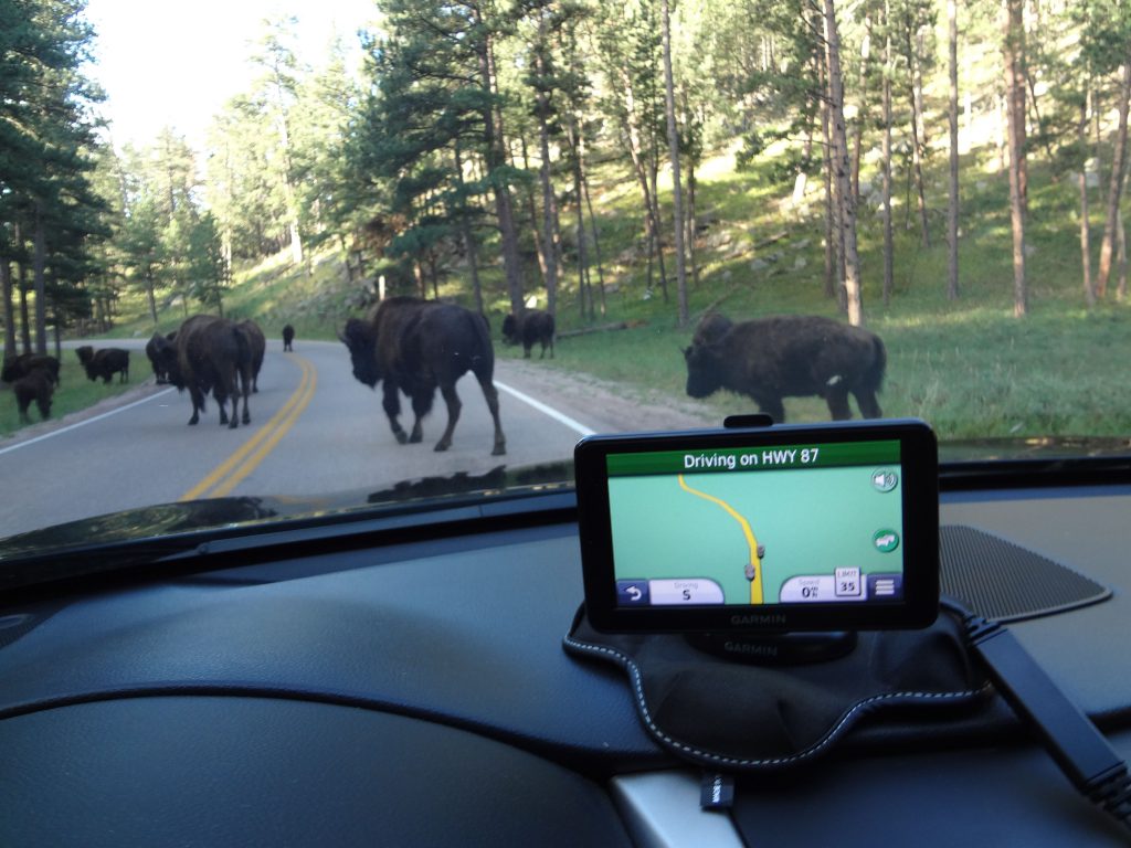 Oh theres a car that wants by